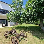 Ferienhaus Fuer 10 Personen Ca 240 Qm In Pula, Istrien Istrische Riviera
